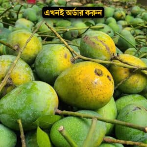 হিমসাগর আম (১০০% কেমিক্যাল মুক্ত)